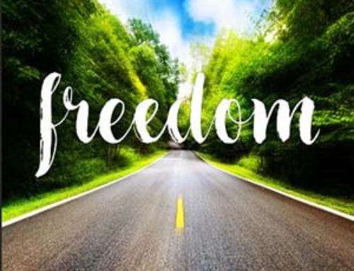 Freedom in Christ